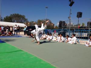 12063798_867876429947671_4613788247714262829_n