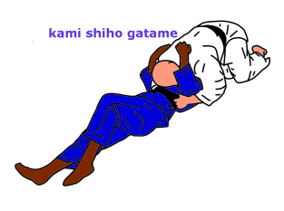 Kami shiho gatame. Judo