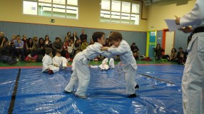 img_20170210_1728279